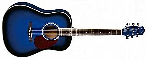 NARANDA DG220BLS акустическая гитара 