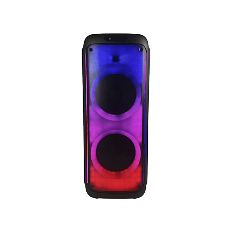 TEMEISHENG YJ-1228 акустическая система на аккумуляторе с двумя радиомикрофонами