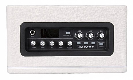 MOOER DH02 Hornet 15WH моделирующий гитарный комбо 15 Вт.